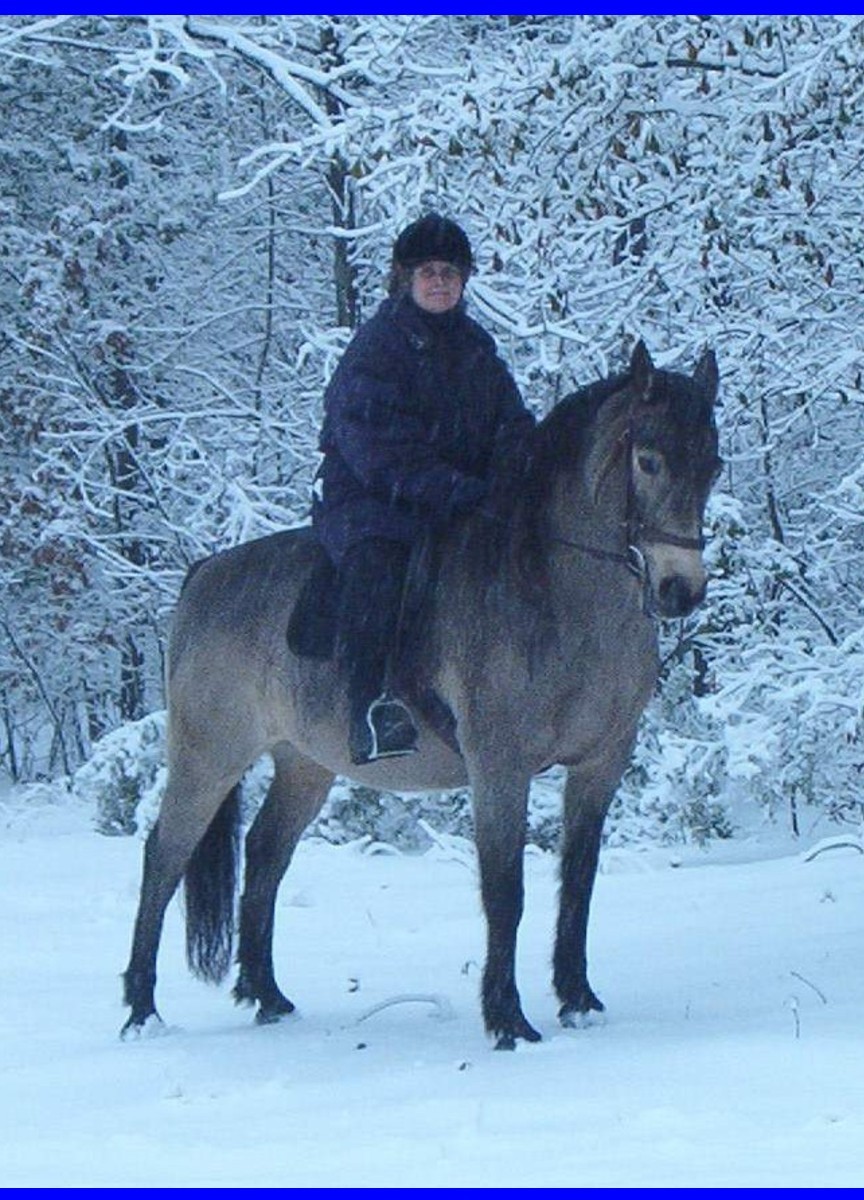 SurfaceHippy Patricia Dukes Horseback Rider, Resurfacing 6/19/06